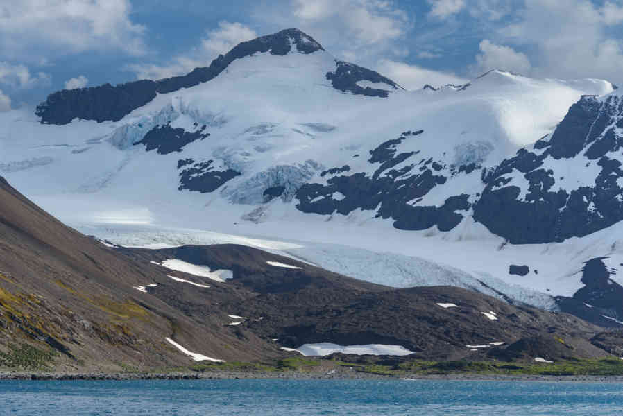 Islas Georgias del Sur 090.jpg